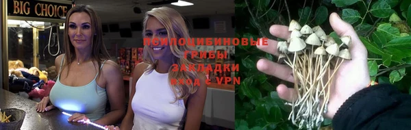 гидропоника Медногорск