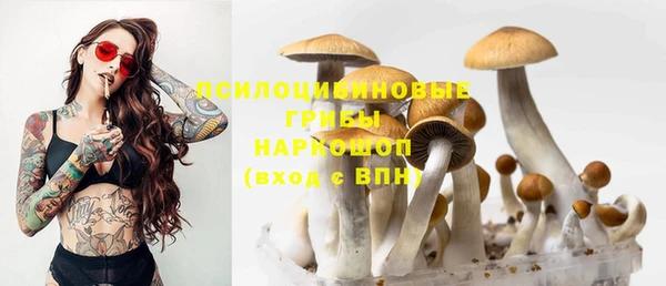 ALPHA-PVP Медвежьегорск