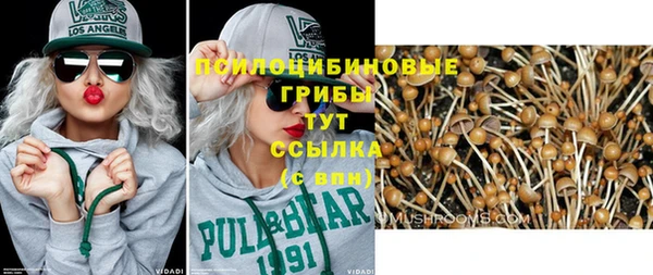 ALPHA-PVP Медвежьегорск