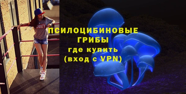 гидропоника Медногорск