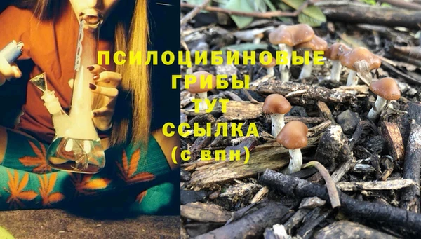 амф Мегион