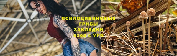 амф Мегион