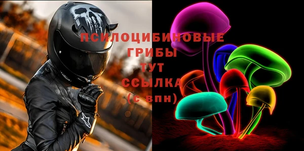 гидропоника Медногорск