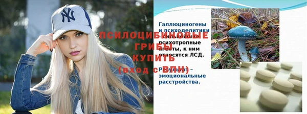 амф Мегион