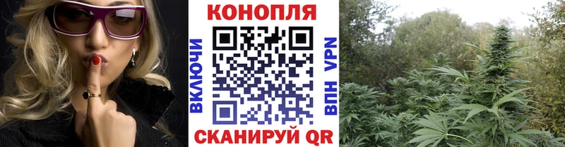 мега tor  где купить наркотик  Углегорск  Каннабис THC 21% 